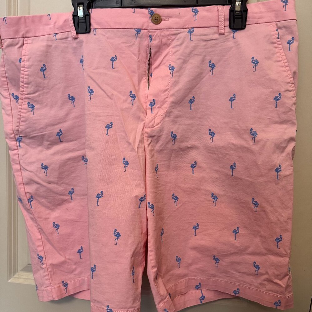 Izond Flamingo Shorts 38